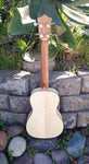 Penguin Classic Flamed Maple, Concert