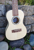 Penguin Classic Flamed Maple, Concert