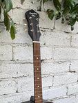 Recording King  RDS-9-TS