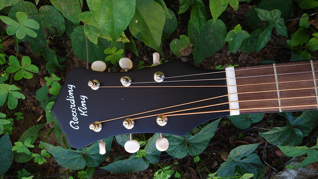 Recording King RPS-7-FE3-TS – Moze Guitars