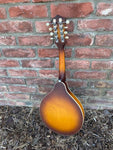 Recording King Mandolin RAM-3-TS