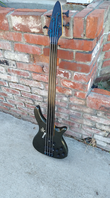 Rogue Fretless Bass Moze Guitars