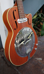 Rogue RR3500 Resonator