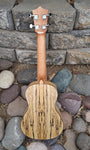 Amahi Ukulele Spalted Maple Concert