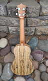 Amahi Ukulele Spalted Maple Concert