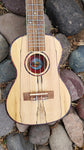 Amahi Ukulele Spalted Maple Concert
