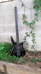 Steinberger Bass QSTD