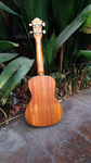 Sunlite Ukulele Concert UC 130E