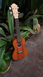 Sunlite Ukulele Concert UC 130E