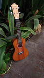 Sunlite Ukulele Concert UC 130E
