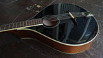 Trinity College Bouzouki