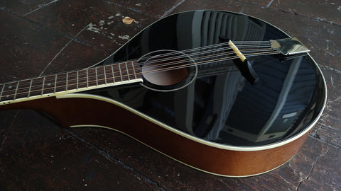 https://www.mozeguitars.com/cdn/shop/products/TCBouzouki1_480x480.jpg?v=1651260726