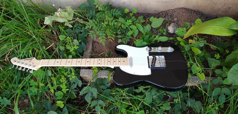 Aria Pro II TEG-002 Black