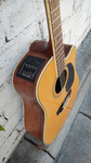 Takamine EG334