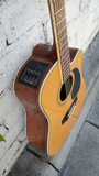 Takamine EG334