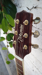 Takamine EG334
