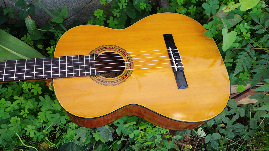 Takamine g 126 deals
