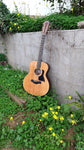 Taylor 356e 12 String
