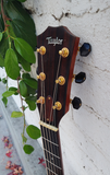 Taylor 712 2003