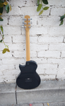 Taylor SB1 HSS