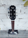 Taylor SB1 HSS
