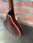 1919 The Gibson Mandolin A3