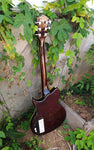 Washburn Electric WI66 Professional