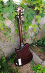Washburn Electric WI66 Professional
