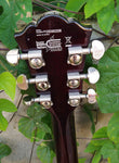 Washburn Electric WI66 Professional