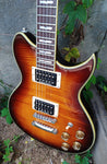 Washburn Electric WI66 Professional