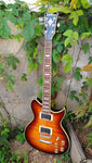 Washburn Electric WI66 Professional
