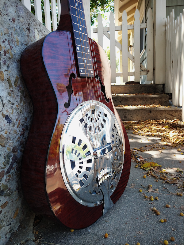 Wechter Scheerhorn Elite 9520 Moze Guitars