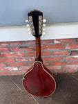 1919 The Gibson Mandolin A3