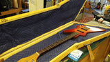 Tim Whitehouse Bass with Explorer Style Custom