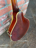 1919 The Gibson Mandolin A3