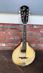 1919 The Gibson Mandolin A3