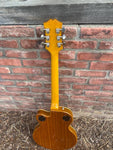 Epiphone Wildkat