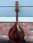 1923 Gibson Snakehead A-0 Mandolin