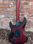 Schecter Diamond Series C1-FR Platinum