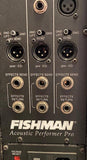 Fishman Acoustic Performer Pro