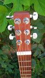 Martin Backpacker