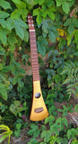 Martin Backpacker