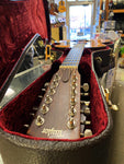 Taylor 356e 12 String