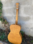 Epiphone Dobro Hound Dog Deluxe Resonator