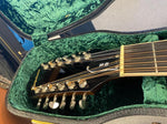 Epiphone 12 String DR-212