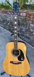 70s Epiphone FT150