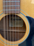 70's Epiphone Texan 12 String