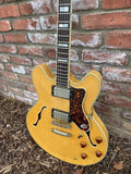 1993 Epiphone Sheraton