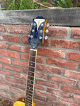 Epiphone Wildkat