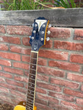 Epiphone Wildkat